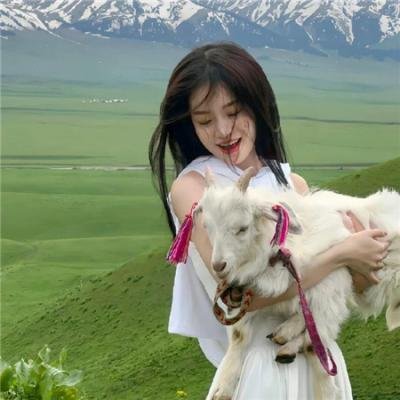掬水月在手 封面